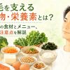 育毛を支える食べ物・栄養素、おすすめの食材とメニュー、食生活の注意点を解説する記事のイメージ